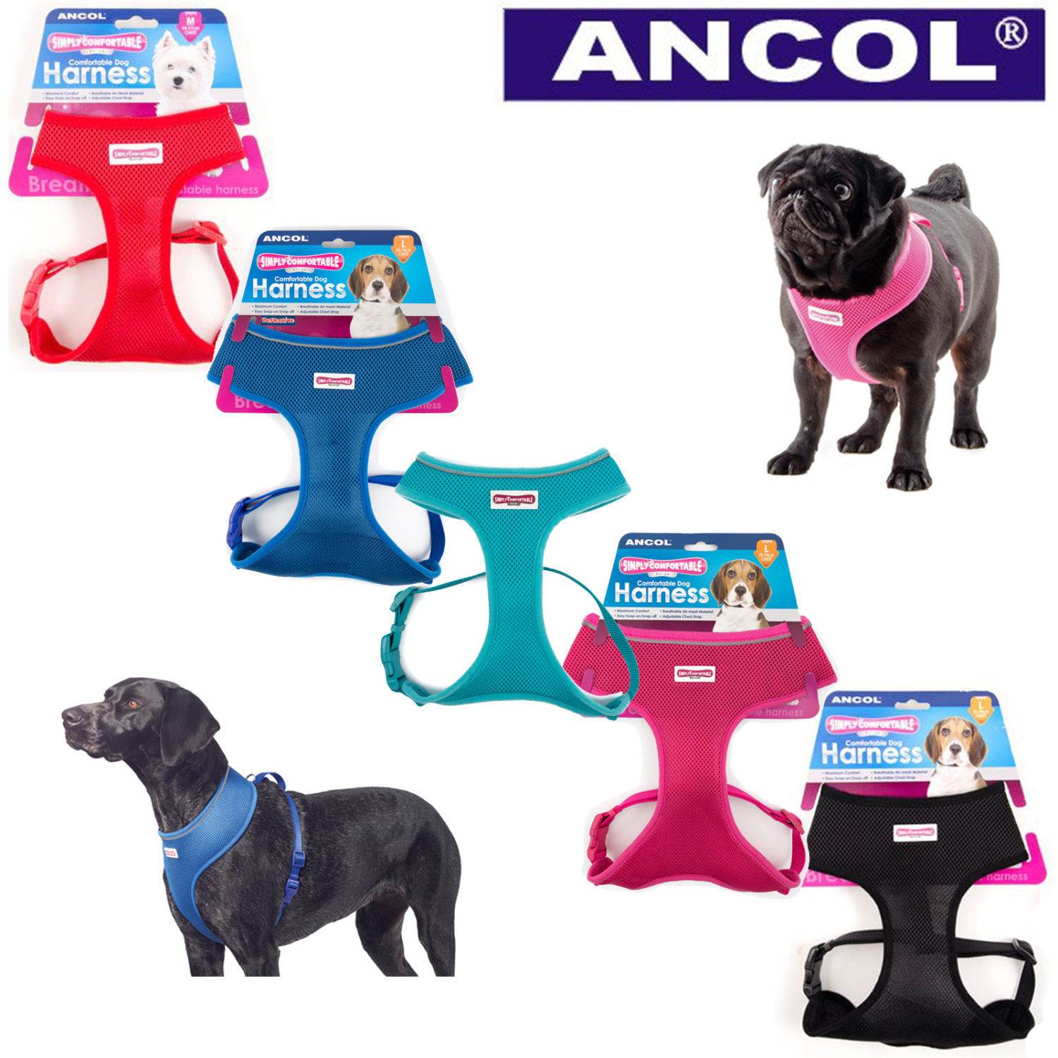 Ancol Mesh Comfort Harness Ijk Pet Supplies