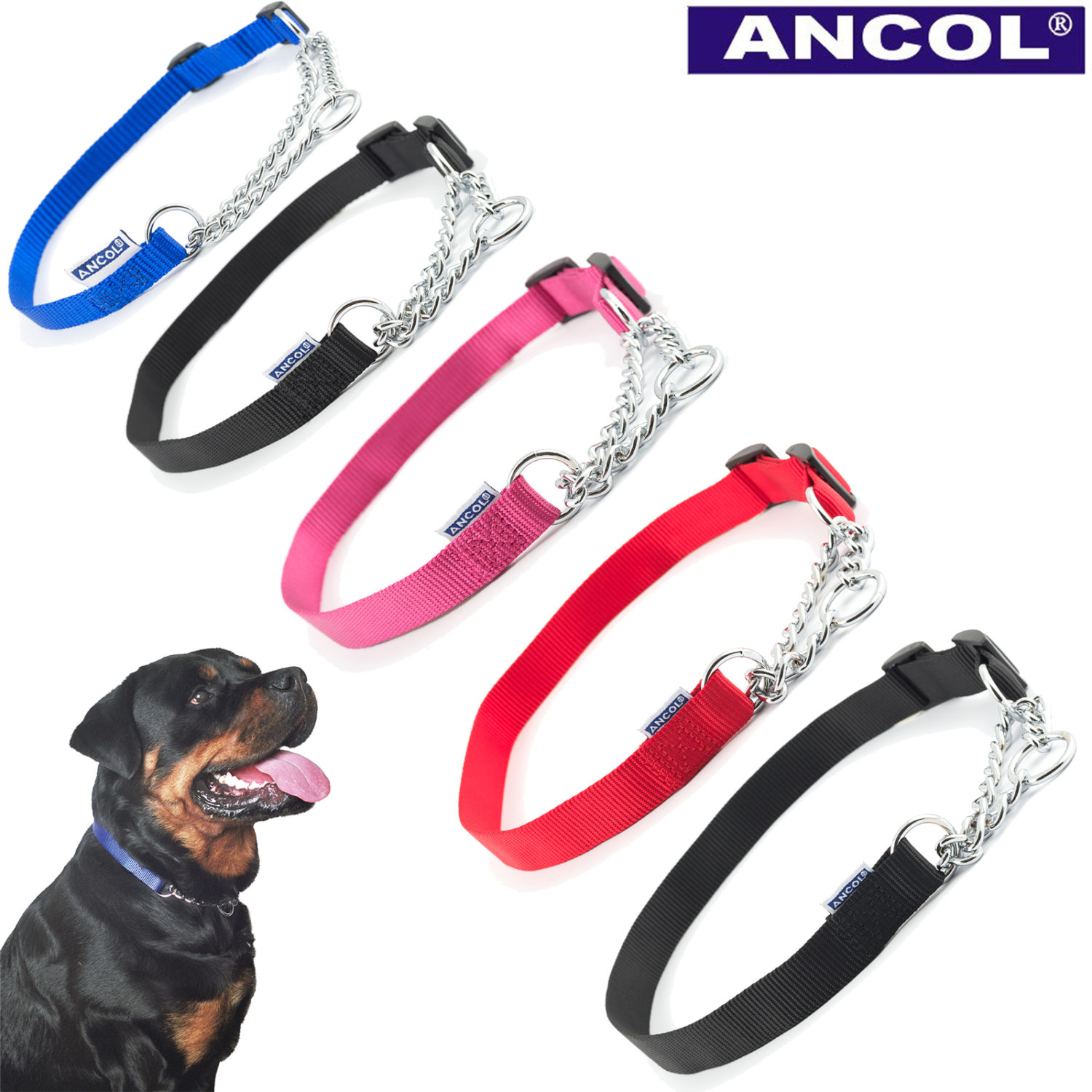 ancol half check collar