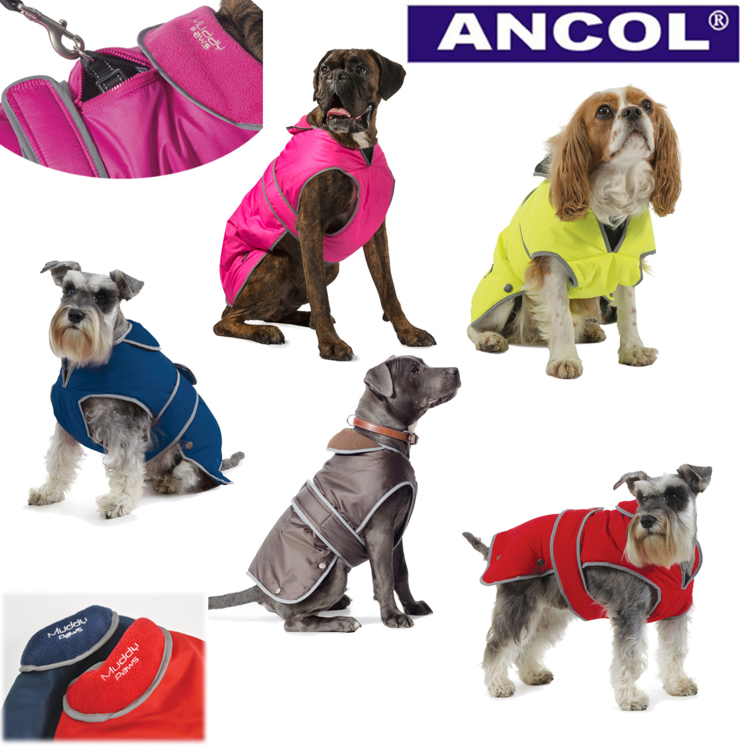 Ancol Dog Harness Large Ancol Dog Harness Large