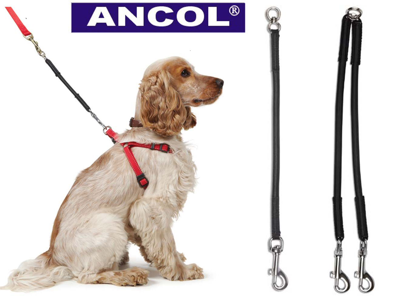 Ancol Bungee Shock Absorber Dog Lead Extension IJK Pet Supplies