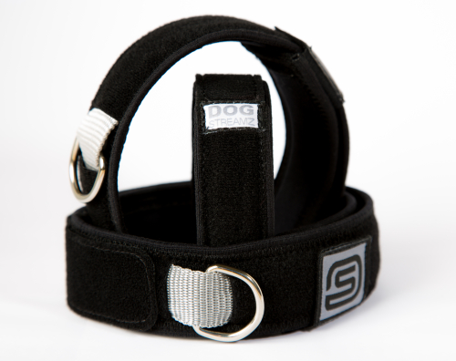 streamz dog collar