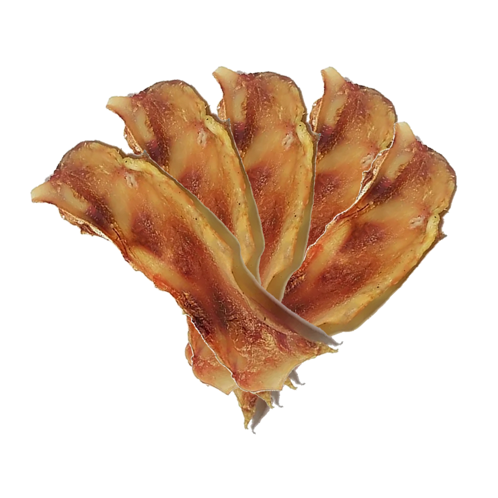 Moon Bones 5 pack IJK Pet Supplies