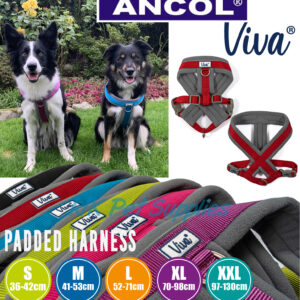 ancol dog harness size guide