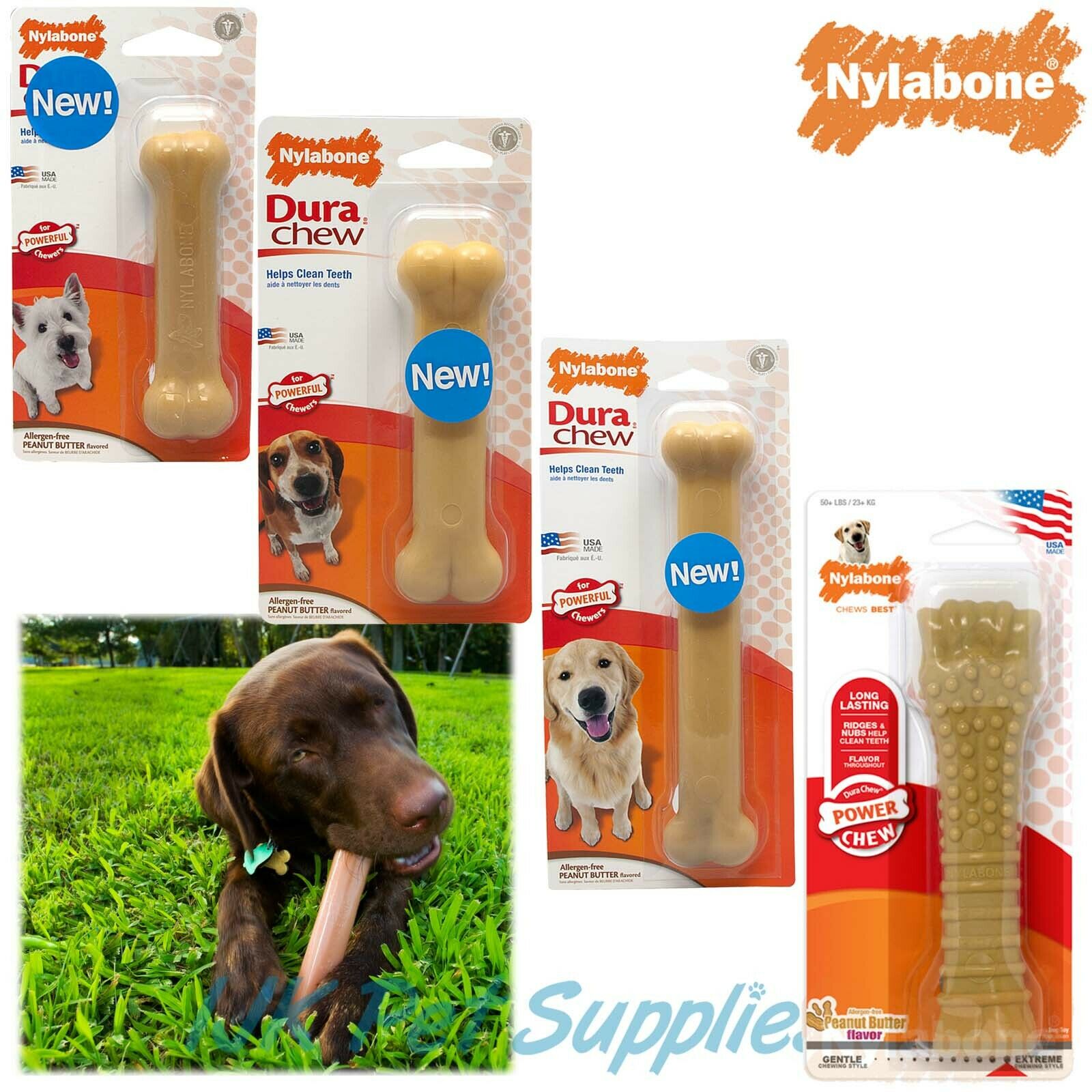 Nylabone Tough Dental Dog Chew IJK Pet Supplies