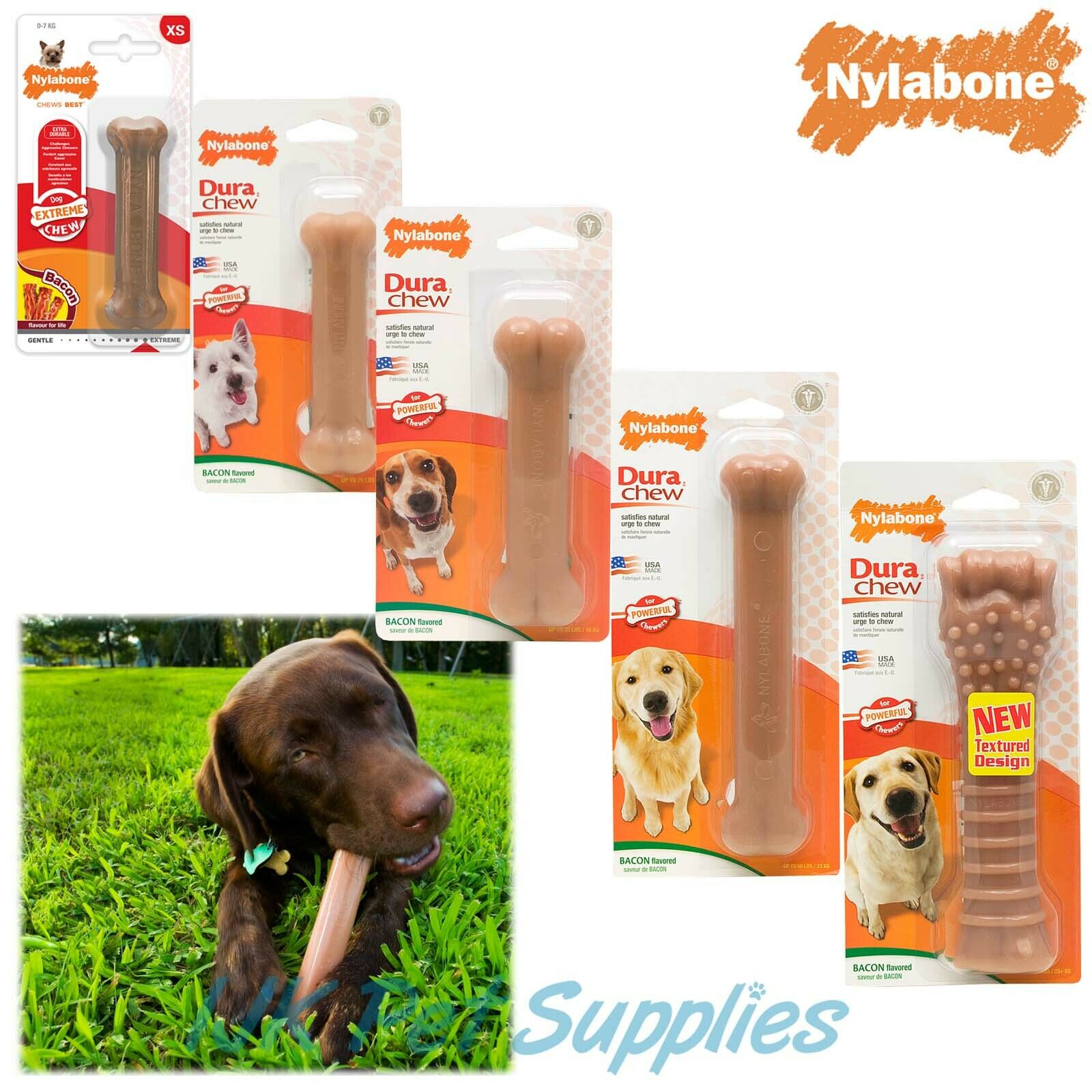 Nylabone Tough Dental Dog Chew IJK Pet Supplies