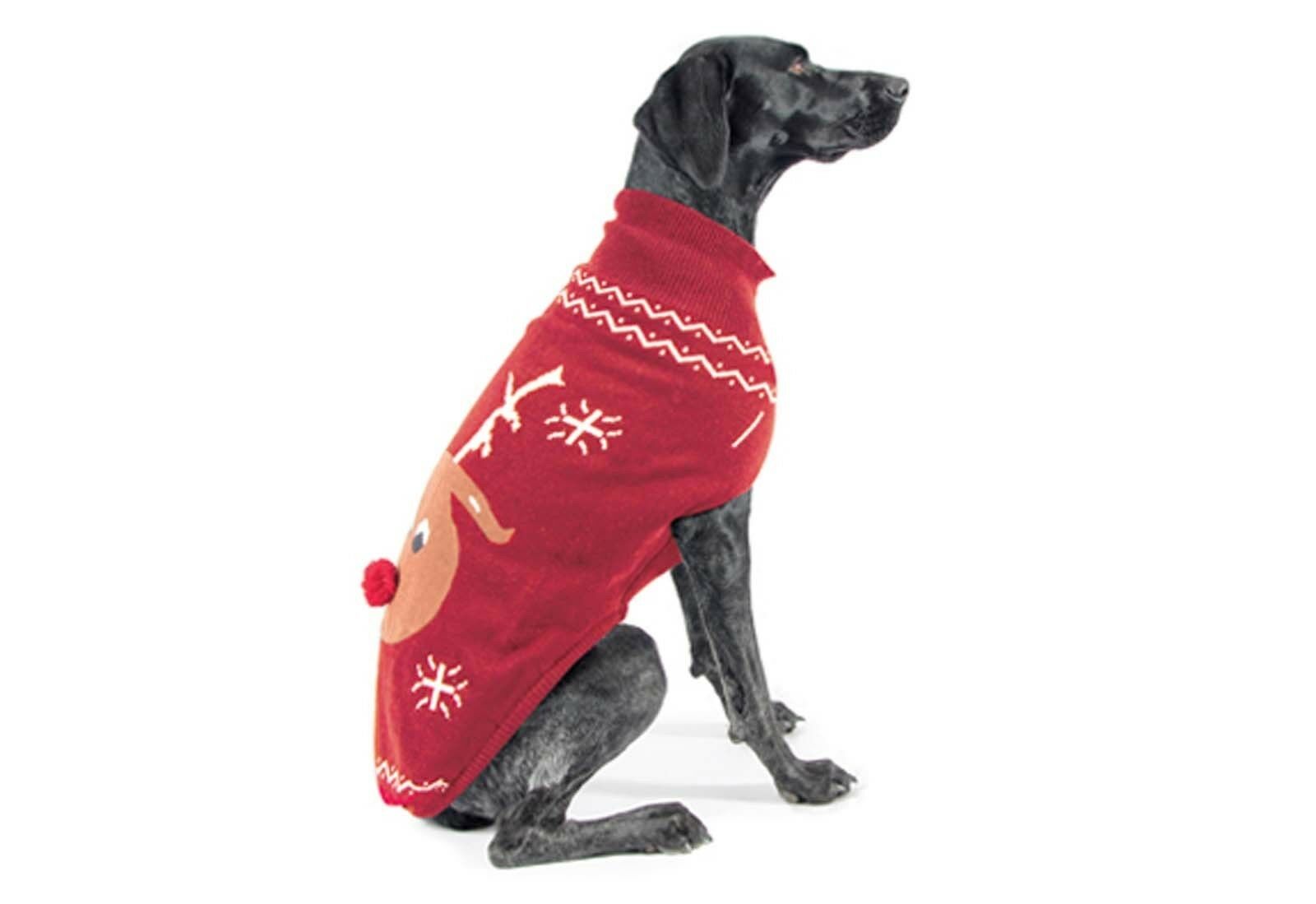 Ancol Christmas Novelty Jumpers - IJK 