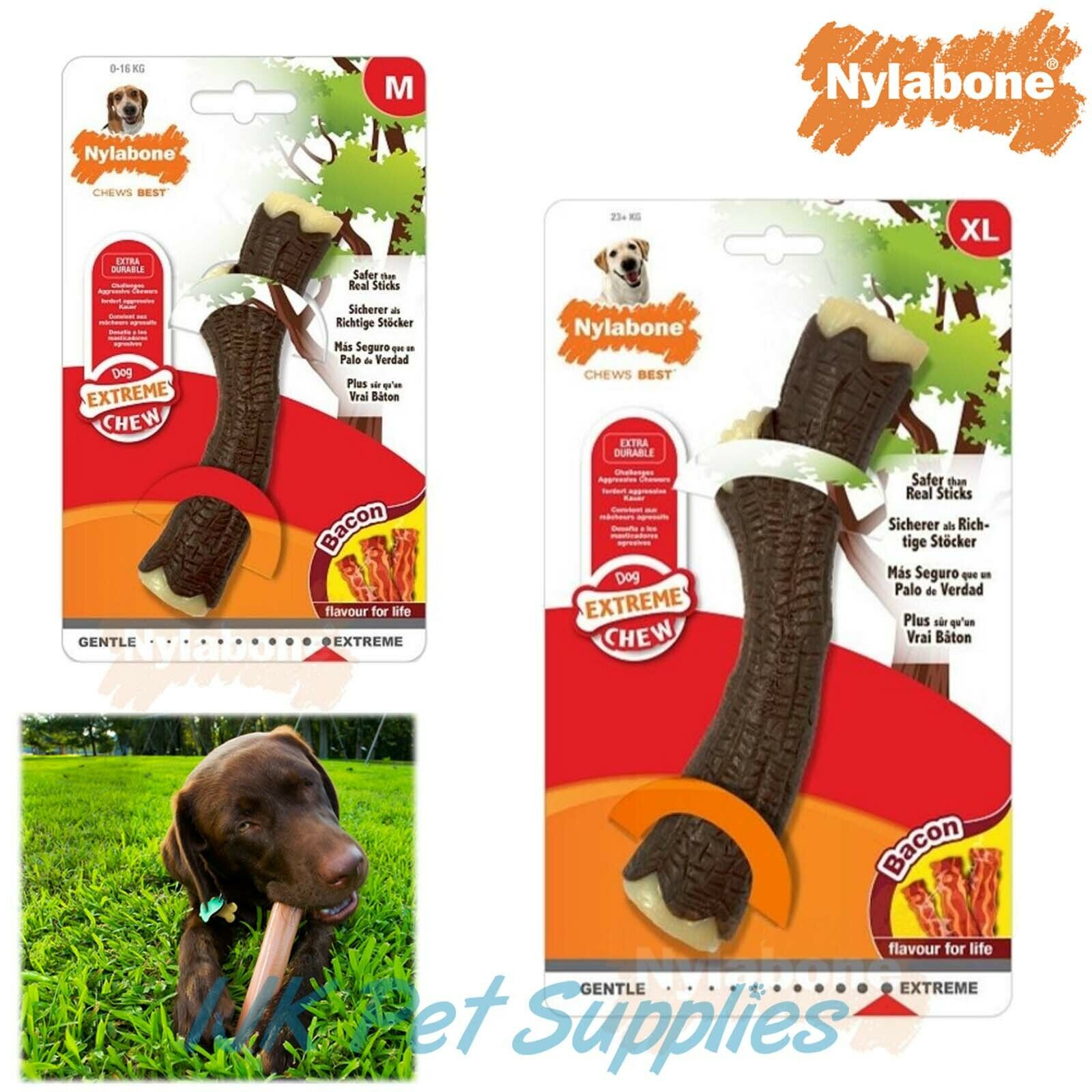 Are Nylon Bones Good For Dogs Teeth