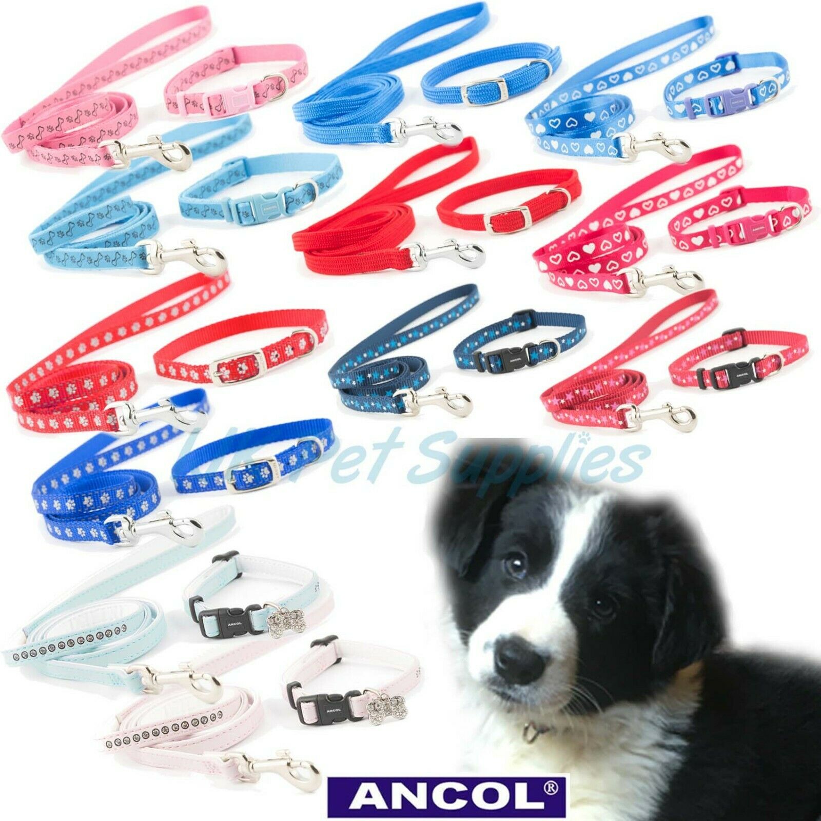 Ancol Small Bite Puppy / Small Dog Collar and Lead Sets IJK Pet Supplies