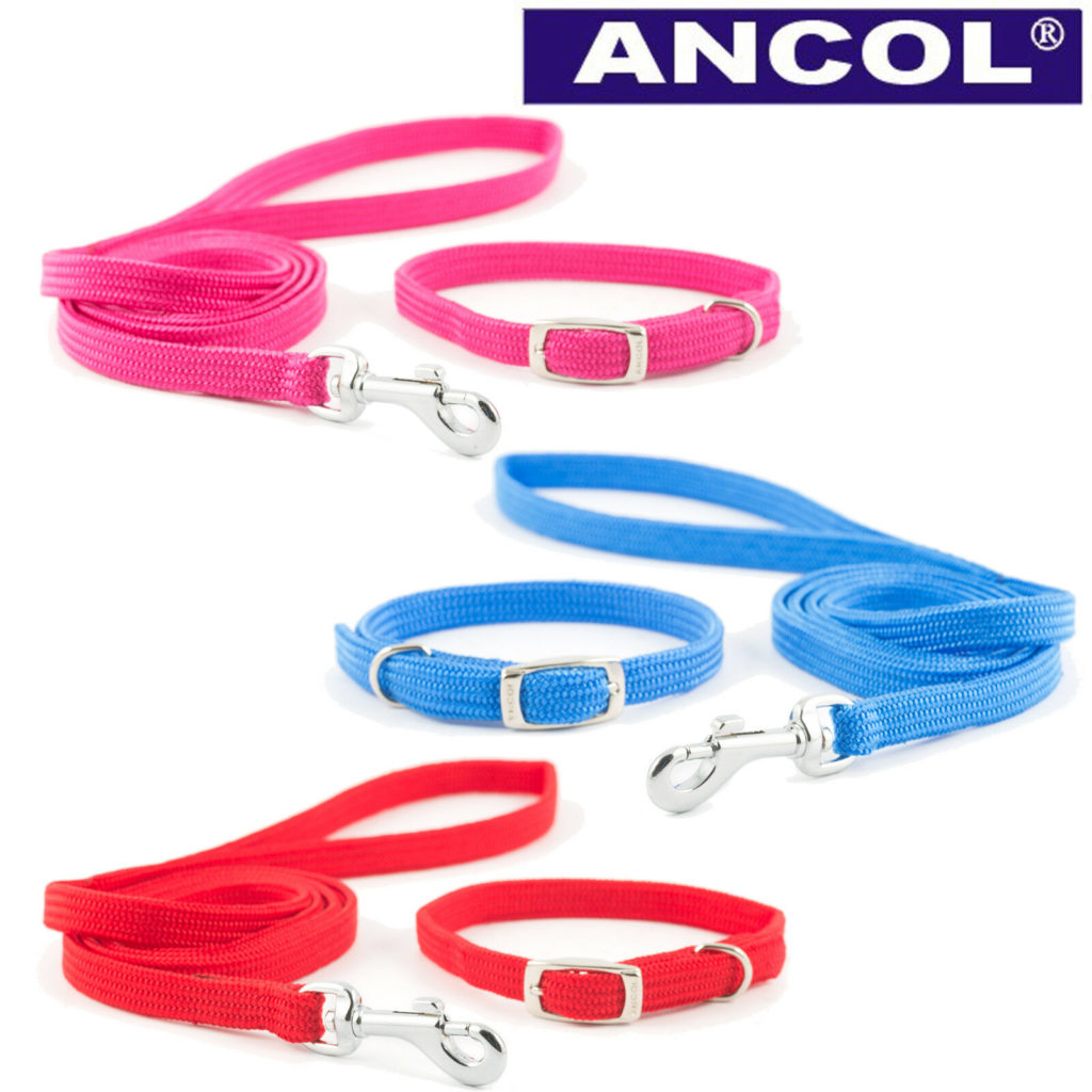 Ancol Small Bite Puppy / Small Dog Collar and Lead Sets IJK Pet Supplies