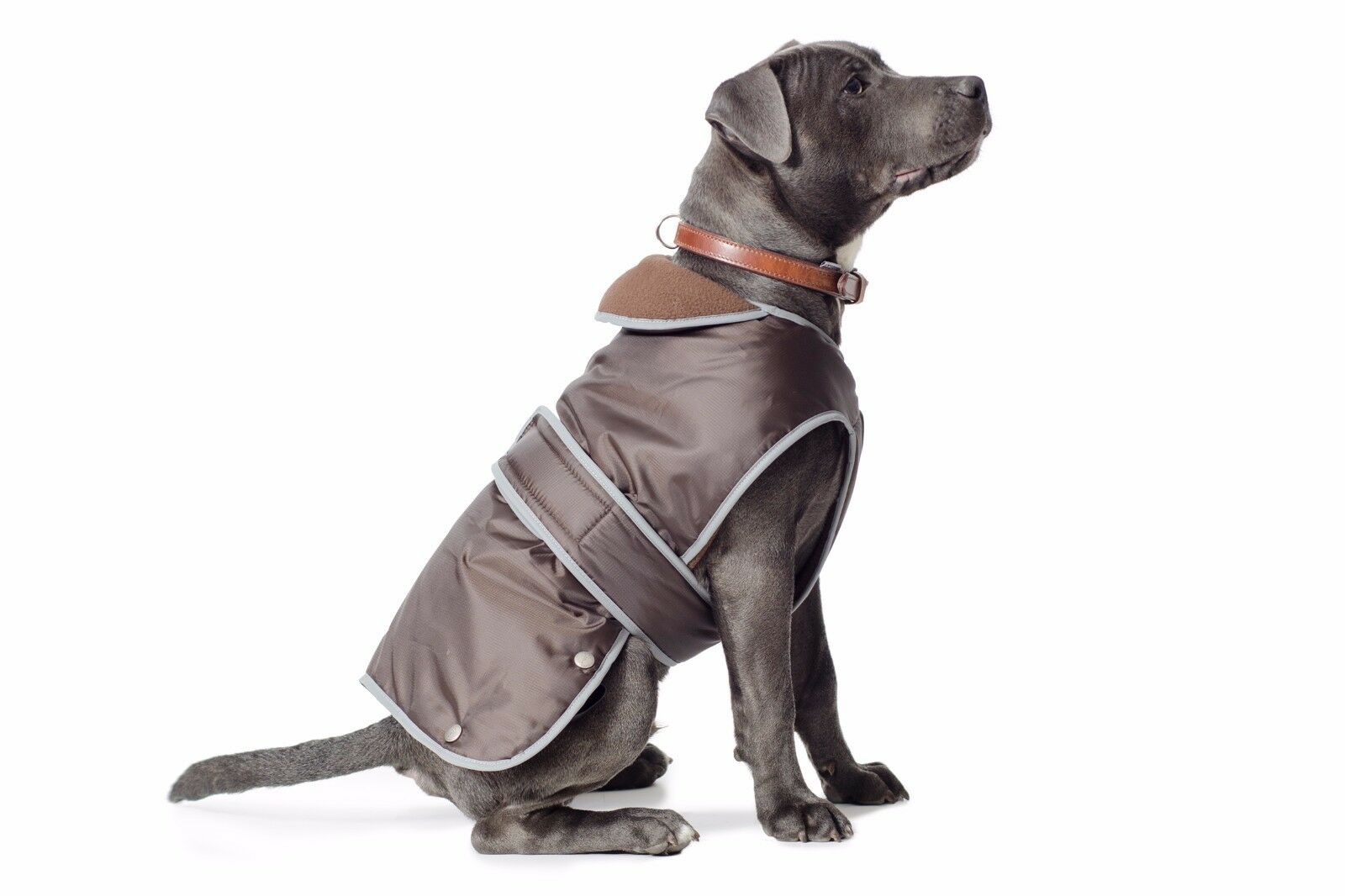 Ancol Muddy Paws Stormguard Dog Coats IJK Pet Supplies