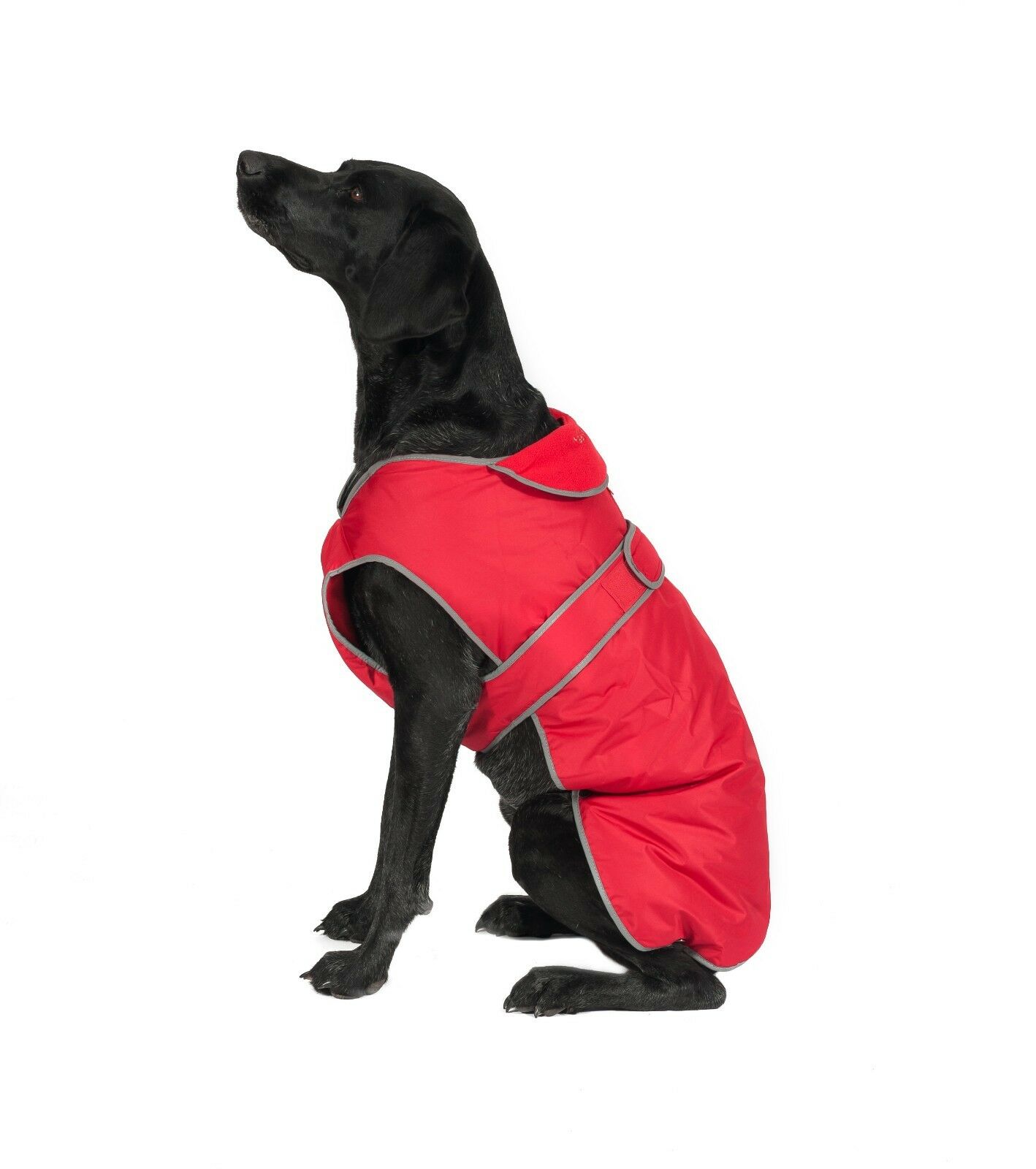 Ancol Muddy Paws Stormguard Dog Coats IJK Pet Supplies