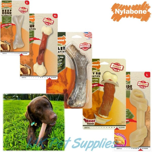 Nylabone Extreme Animal Alternative Dental Dog Chew IJK Pet Supplies