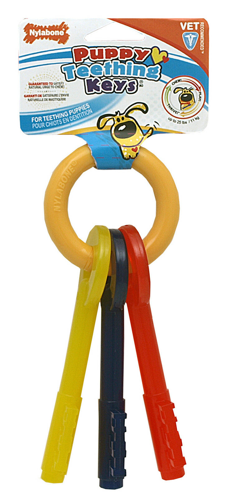 nylabone puppy keys