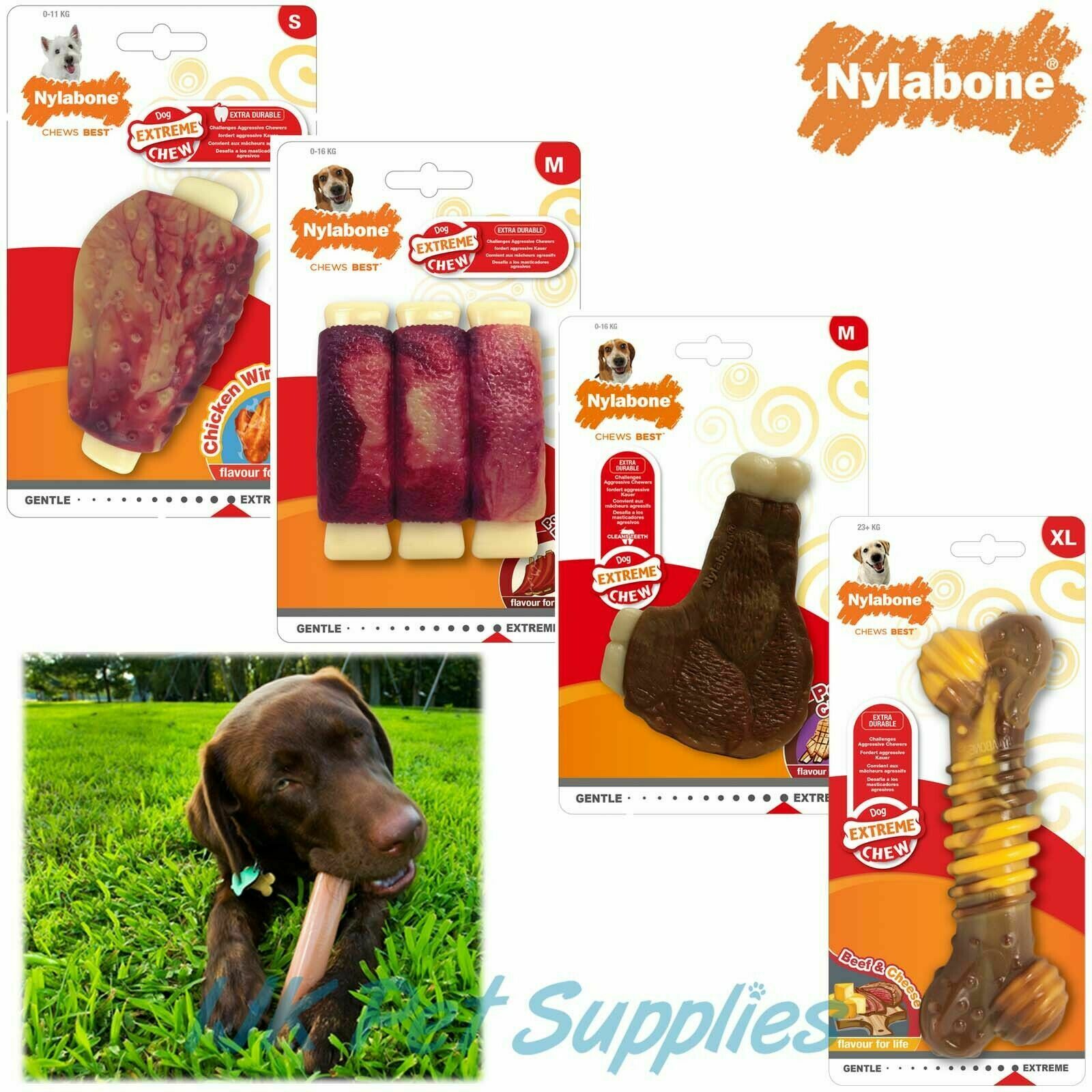 Nylabone Extreme Dental Dog Chew IJK Pet Supplies