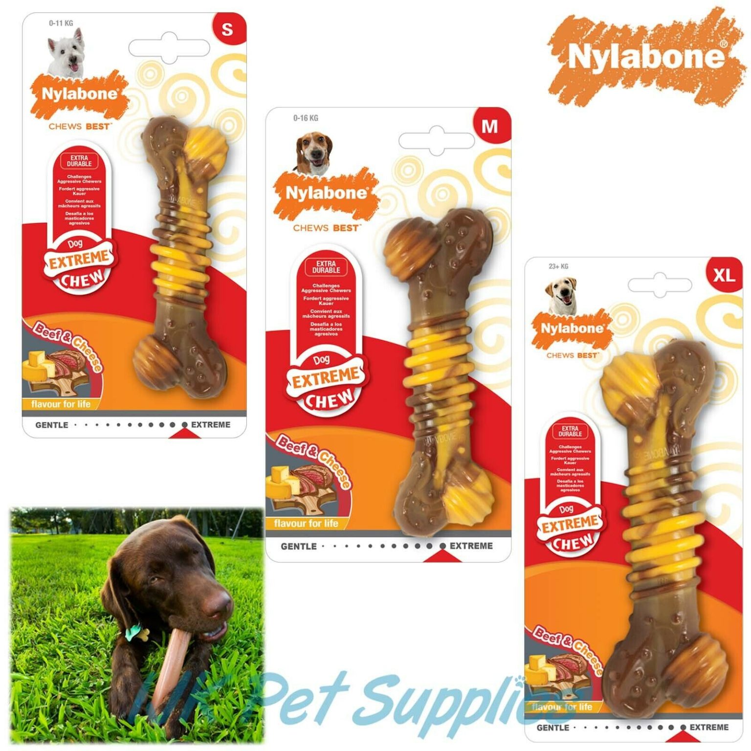 Nylabone Extreme Dental Dog Chew IJK Pet Supplies